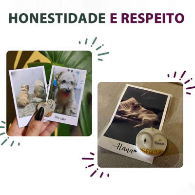 incineracao ecologica